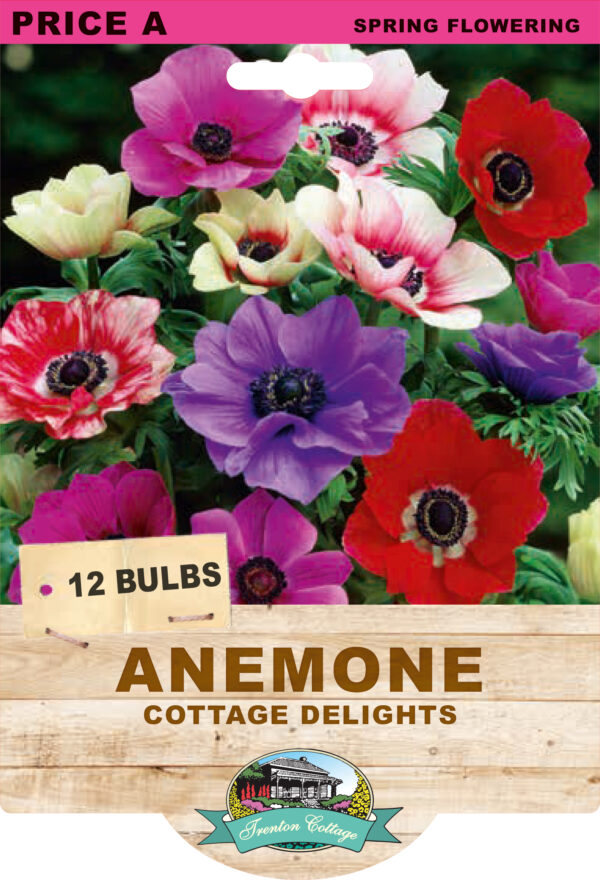 AEOMONE COTTAGE DELIGHTS MIXED 12 pk