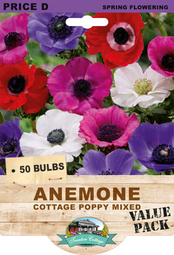 ANEMONE COTTAGE POPPY MIXED 50pk