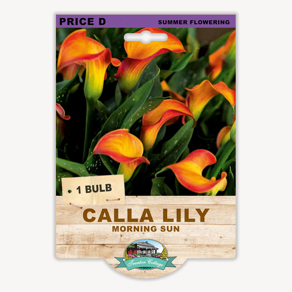 Seed Potatoes & Flowering Bulbs