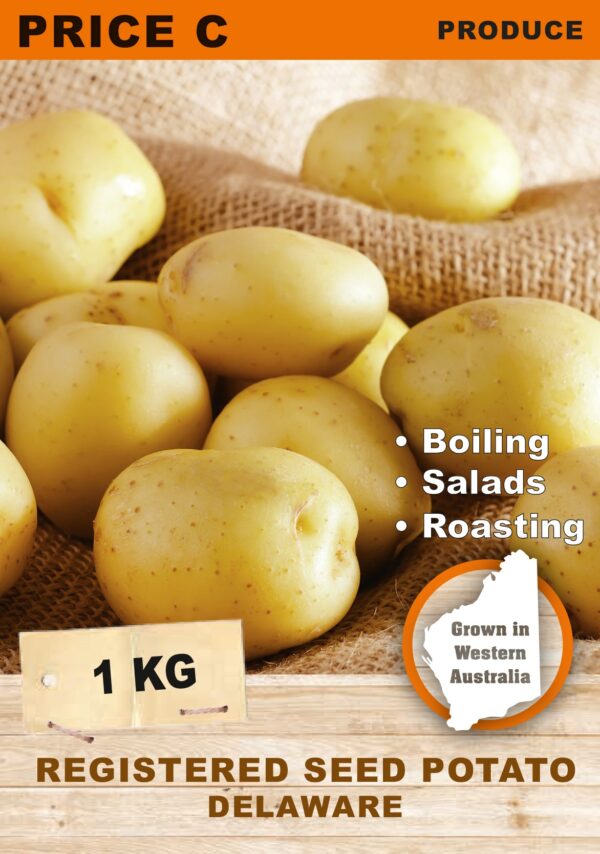 SEED POTATO - DELAWARE