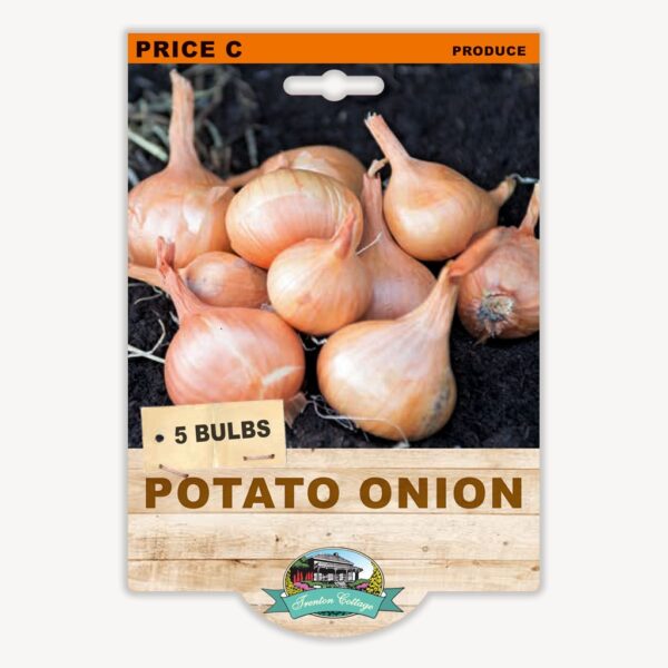 POTATO ONIONS