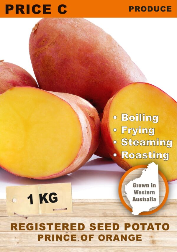 SEED POTATO - PRINCE OF ORANGE