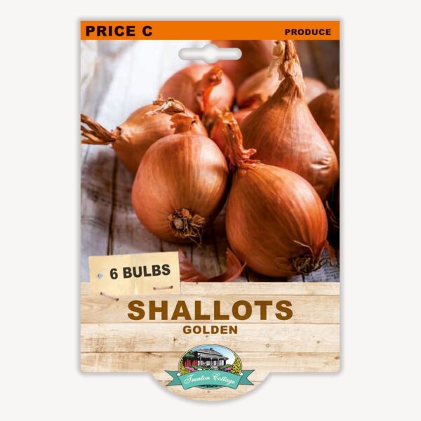 GOLDEN SHALLOTS