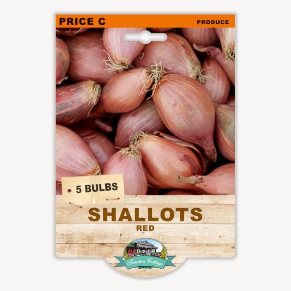 RED SHALLOTS