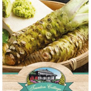 WASABI MAZUMA - min 4 RQD